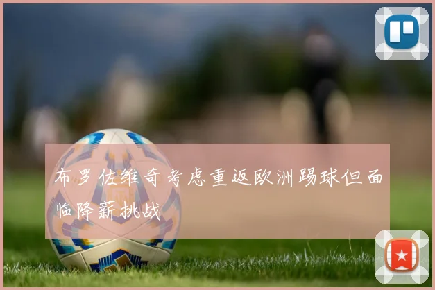 布罗佐维奇考虑重返欧洲踢球但面临降薪挑战