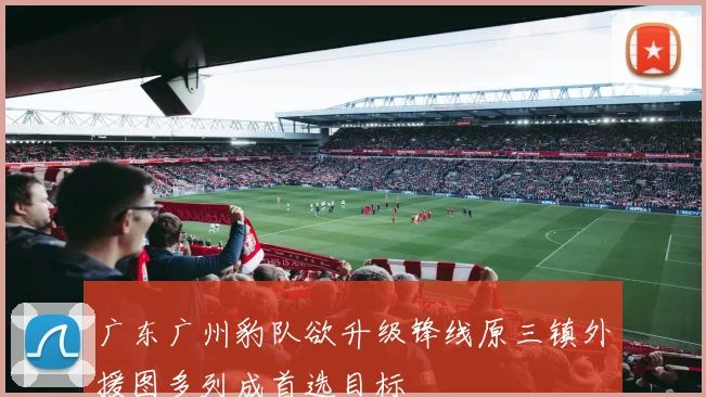 广东广州豹队欲升级锋线原三镇外援图多列成首选目标