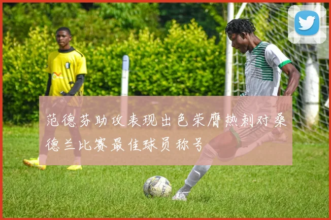 范德芬助攻表现出色荣膺热刺对桑德兰比赛最佳球员称号