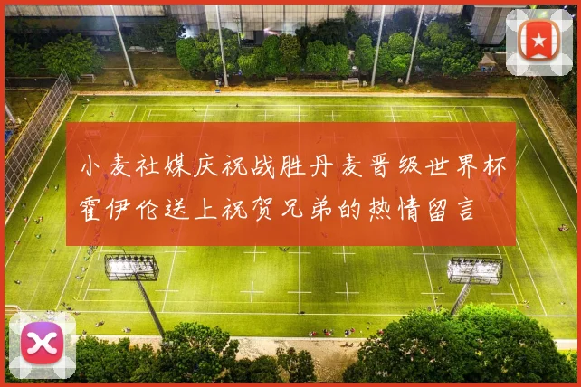 小麦社媒庆祝战胜丹麦晋级世界杯霍伊伦送上祝贺兄弟的热情留言